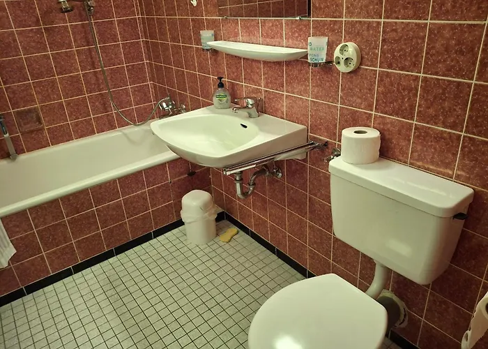 公寓 Schoenblick 霍兴斯旺德